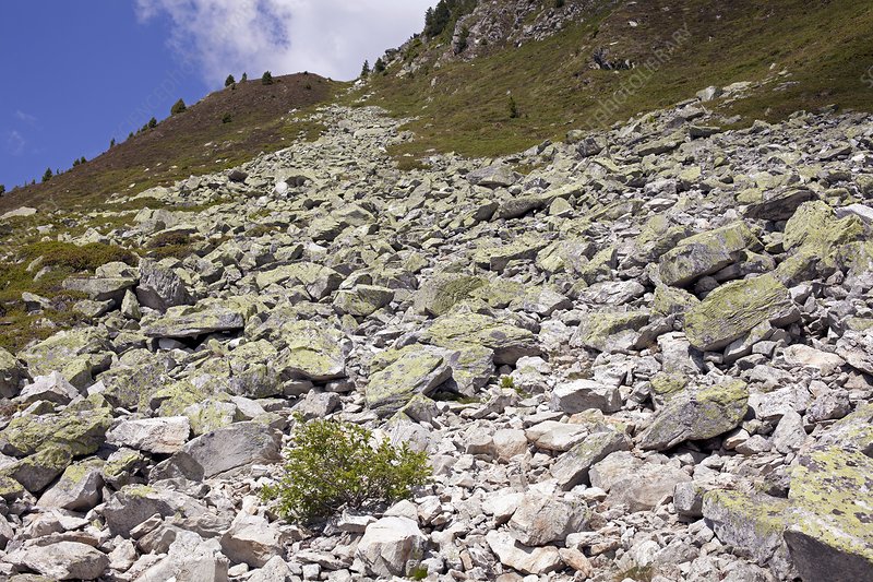 Scree slope